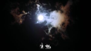 track-artwork