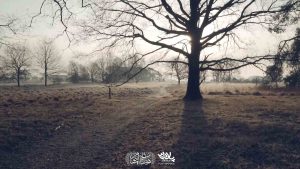 track-artwork
