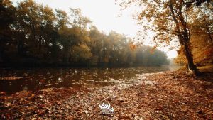 track-artwork